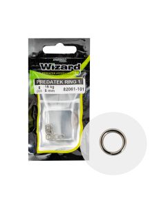 INELE DESPICATE WIZARD