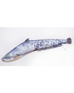 PERNE CADOU PESCUIT SOMN ARTIFICIAL DIN PLUS