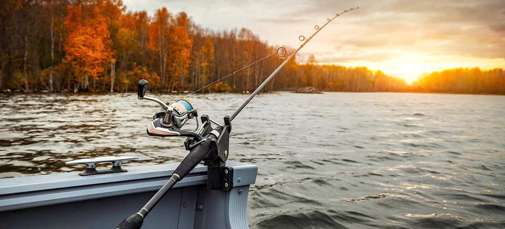 Echipamente de Pescuit